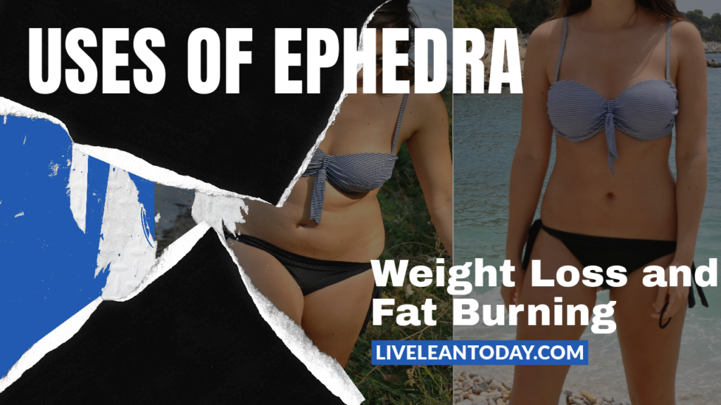 uses of ephedra